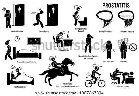 Prostatitis Prostate Patient Icons. Pictogram depicts prostatitis signs, symptoms, risks, diagnosis, and treatment by urologist. 