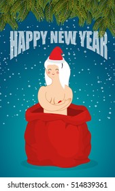 Prostitute in red sack of Santa Claus. Happy Adult New Year. Whore for present. Congratulations for men. Woman on holiday for fun