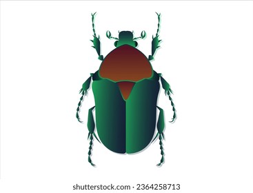 Protaetia Beetle Vector Art Isolated on White Background