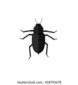 Protaetia may bug insect design flat. Small insect chafer with black legs and antennae and black wings folding in the shell. 