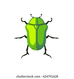 Protaetia may bug insect design flat. Small insect chafer with black legs and antennae and bright green wings folding in the shell. Wildlife creating isolation on white background. Vector illustration