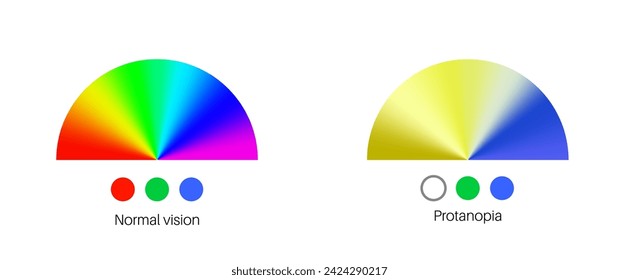 Protanopia vision, color blindness infographic. Human vision deficiency concept. Difference between colors, brightness and intensity of shades. Eye abnormality flat vector illustration