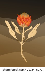 Protea, rosa africana sobre el fondo del paisaje nocturno del desierto. Colección de arte contemporáneo. Afiche de estilo moderno, africano