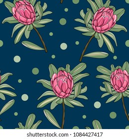 protea flower, australia native plant seamless pattern with dot on navy background