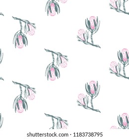 Protea flower branch pattern. Floral seamless background for fabric design. Cute and beautiful watercolor vector illustration on white backdrop.