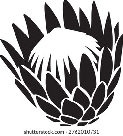 Protea flower silhouette black vector icon style simple shape design. 
