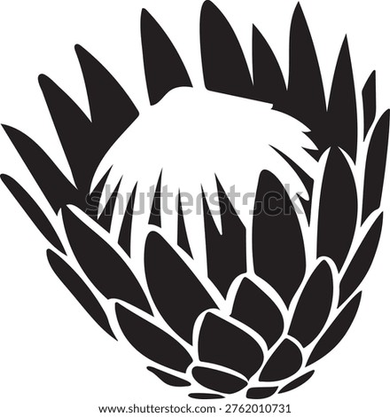 Protea flower silhouette black vector icon style simple shape design. 