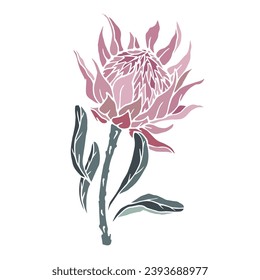 Protea flower.Decorative botanical element. Vector graphics.