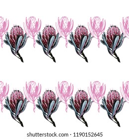 Protea gorizontal border pattern with pink outline and watercolor flower. Seamless background for fabric design. Cute and beautiful floral watercolor vector illustration on white backdrop.