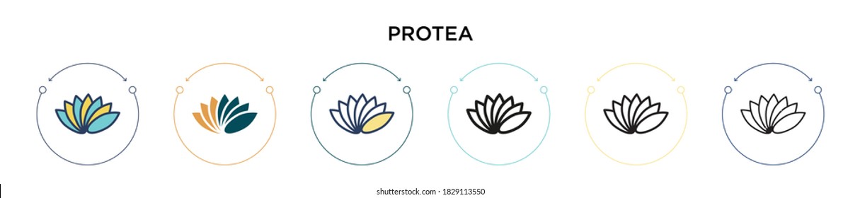 Protea icon in filled, thin line, outline and stroke style. Vector illustration of two colored and black protea vector icons designs can be used for mobile, ui, web