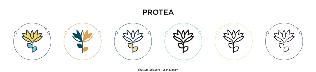 Protea-Icon in vollem, dünnen Linie, Umriss und Strich-Stil. Vektorgrafik von zwei farbigen und schwarzen Vektorgrafik-Symbolen kann für mobile, i, web-basierte