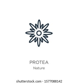 Protea icon. Thin linear protea outline icon isolated on white background from nature collection. Line vector sign, symbol for web and mobile