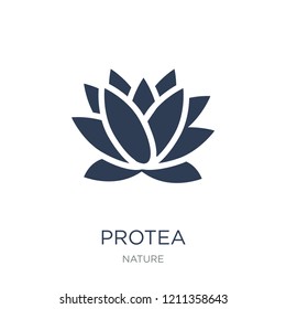 Protea icon. Trendy flat vector Protea icon on white background from nature collection, vector illustration can be use for web and mobile, eps10