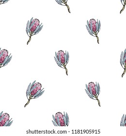 Protea pattern. Floral seamless background for fabric design with exotic flowers. Cute and beautiful watercolor vector illustration on white backdrop.