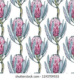 Protea pattern. Floral seamless background for fabric design with exotic flowers. Cute and beautiful watercolor vector illustration on white backdrop.