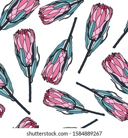 Protea seamless pattern. Linear sketchy style flower elements. Fabric textile design. Vector illustration. White background.