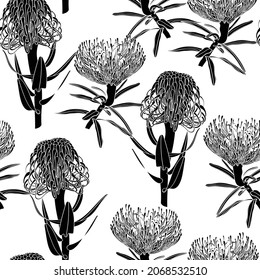 Protea seamless pattern. Linear sketchy style flower elements. Fabric textile design illustration. White background.