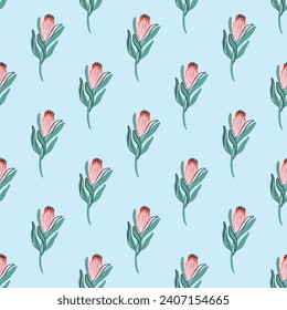 Protea sin fisuras. Fondo minimalista de la planta boho. Ornamento de flores exóticas. Flor nacional de Sudáfrica. Ilustración vectorial dibujada a mano.
