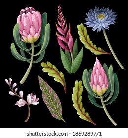 Protea and tropical flowers isolated. Trendy floral vector print