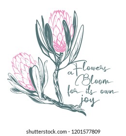 Protea t-shirt print. Bloom flowers quote and protea flower branch. Floral fabric design. Cute and beautiful watercolor vector illustration on white backdrop.