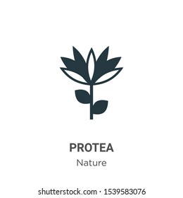 Protea vector icon on white background. Flat vector protea icon symbol sign from modern nature collection for mobile concept and web apps design.
