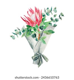 Acuarela Protea, rama de eucalipto, ramo. Ilustración vectorial de flores rosas. Tarjetas, invitaciones de boda, banners, portadas, etiquetas, volantes.