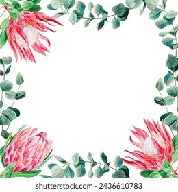 Acuarela Protea, ramitas de eucalipto, marco cuadrado. Ilustración vectorial de flores rosas. Tarjetas, invitaciones de boda, banners, portadas, etiquetas, volantes.