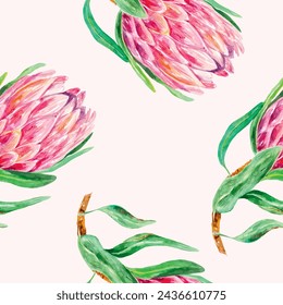 Protea watercolor, pattern. Vector illustration of pink flowers. Design element for wrapping paper, textile, wallpaper, fabric, cover, scrapbooking.