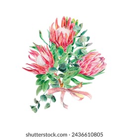 Acuarela Protea. Ilustración vectorial de un ramo de flores rosas. Elemento de diseño para tarjetas, invitaciones de boda, banners, cubiertas, etiquetas, carteles.