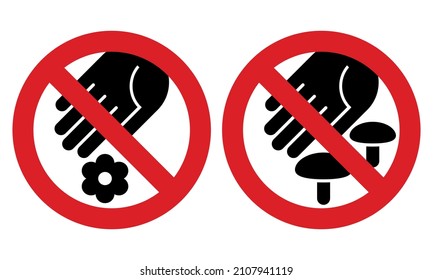 Protect the environment. Do not pick flowers and mushrooms. Prohibition sign