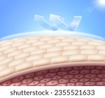 Protect skin cells from sunlight and UV rays with a sun shield. Advertisements for cosmetics, sunscreen, lotions and serums. Realistic vector illustrations.