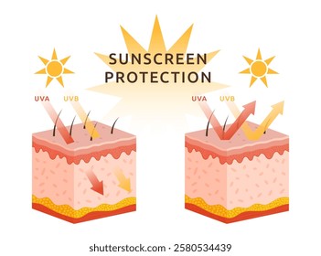 Protect skin from UV sun. Rays arrow damage. UVA and UVB reflecting heat. Structure of layer epidermis. Human body. Dermis section chart. Sunscreen protection infographic. Vector garish illustration