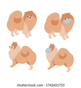 Protect your favorite dog from the virus by wearing a protective mask. Spitz is sick with the coronavirus.
Side and front view of a cute fluffy puppy of golden color. vector image isolated