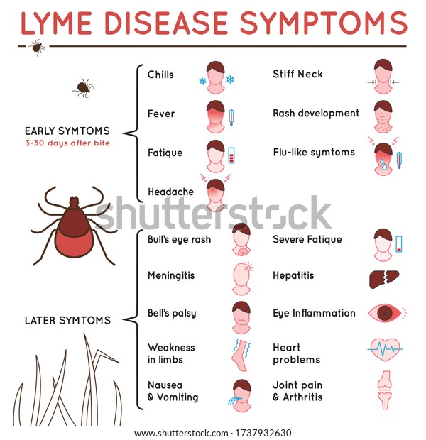 Protect yourself against ticks. Lyme disease\
symptoms poster. Human skin parasite. Danger for health from tick\
bite, borreliosis infection. Editable vector illustration in simple\
outline style.