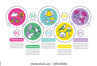 Protected areas for biodiversity vector infographic template. Park. Business presentation design elements. Data visualization with five steps. Process timeline chart. Workflow layout with linear icons