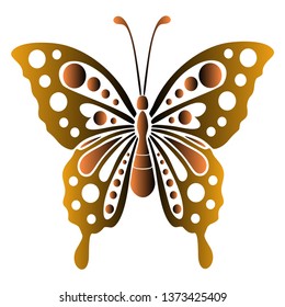 Protected butterflies and rare beautiful colors