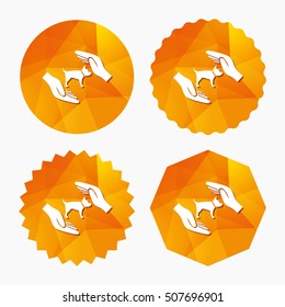 Protection of animals pets sign icon. Hands.