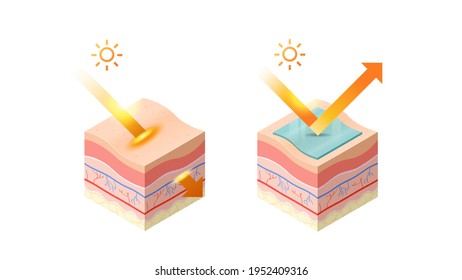 protection and penetrate uv rays from sun into epidermis of skin cross-section of human skin layers structure skincare medical concept flat horizontal