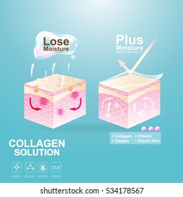 Protection Skin and Repairing or Collagen Serum and Vitamin Repair Skin.