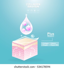 Protection Skin and Repairing or Collagen Serum and Vitamin Repair Skin.