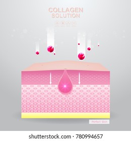Protection Skin and Repairing or Collagen Serum and Vitamin Repair Skin.
