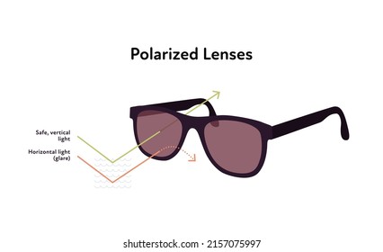 Protection sunglasses infographic. Vector flat modern illustration. Sun glasses with polarized lenses isolated on white background. Vertical and horizontal reflected light wave arrow symbol.