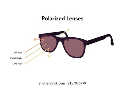 Infografía de gafas de sol de protección. Ilustración moderna plana vectorial. Gafas de sol con lentes polarizadas aisladas sobre fondo blanco. UVA, UVB reflejado y símbolo de flecha de onda luminosa visible.