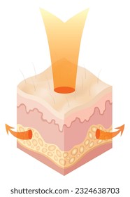 Protection uv ray skin. Illustration about Skin care concept. Sun protection body adipose layers epidermis, vector infographic