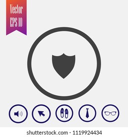 Protection vector icon