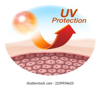 Protects the skin to the cellular level with UV protection from the sun. Advertisements for cosmetics, sunscreen lotions, serums and skin creams. Realistic vector file.