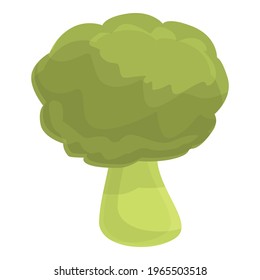 Protein brocoli icon. Cartoon of Protein brocoli vector icon for web design isolated on white background