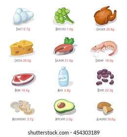 Protein food icons collection for healthy diet with salmon cheese and chicken