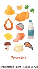 Comida de proteínas. Colección de proteínas vectoriales. Dieta, deliciosa comida: carne, pescado, leche, queso y otros.