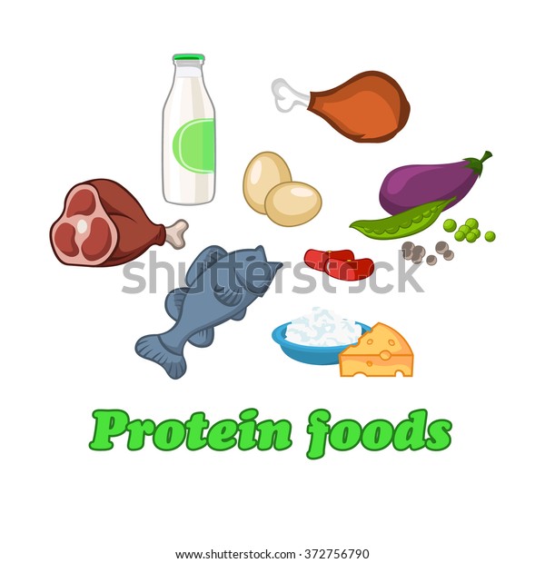 Protein Healthy Food People Fish Milk Stock Vector (Royalty Free ...